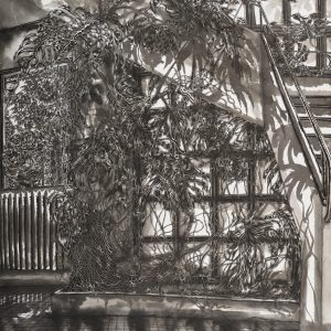 Thomas Henriot, Orlando descend l'escalier, Hommage à Virginia Woolf