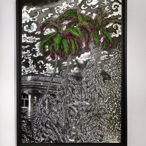 The Seaweeds