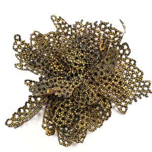 Solitude perpétuelle n° 14