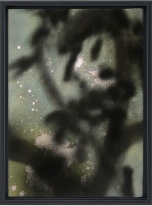 Fabrice Cazenave Slider 42