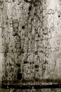 Valerie Graftieaux Clepsydre n°5