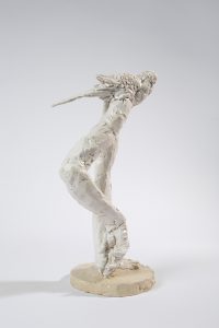 Laurent Esquerré, Perruche 1