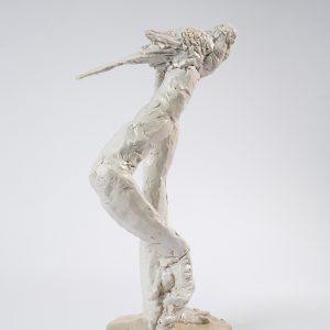 Laurent Esquerré, Perruche 1