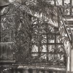 Thomas Henriot Orlando descend l’escalier ( Hommage a Virginia Woolf )