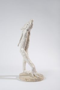 Laurent Esquerré, Perruche 2