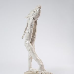 Laurent Esquerré, Perruche 2