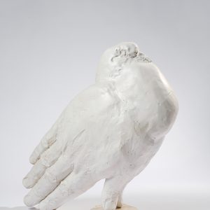 Laurent Esquerré, Oiseau Prière