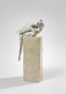 Laurent Esquerré, Main oiseau 6